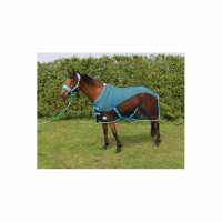 Read Ruggles Equestrian Reviews